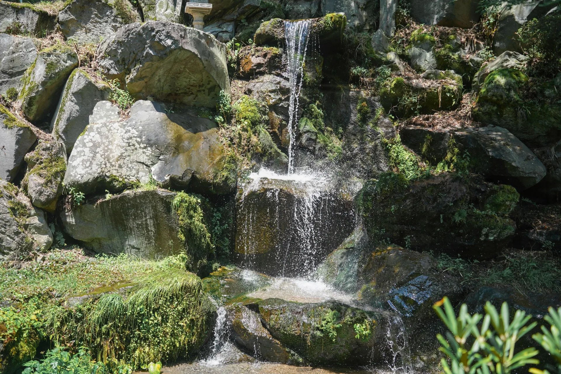 横谷渓谷の天然の湧き清水