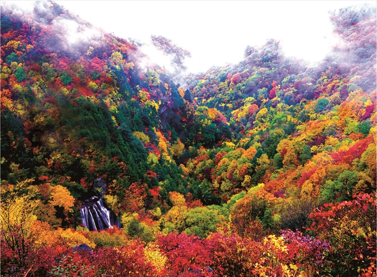 メルヘン街道バスで行く紅葉の横谷峡滝めぐり