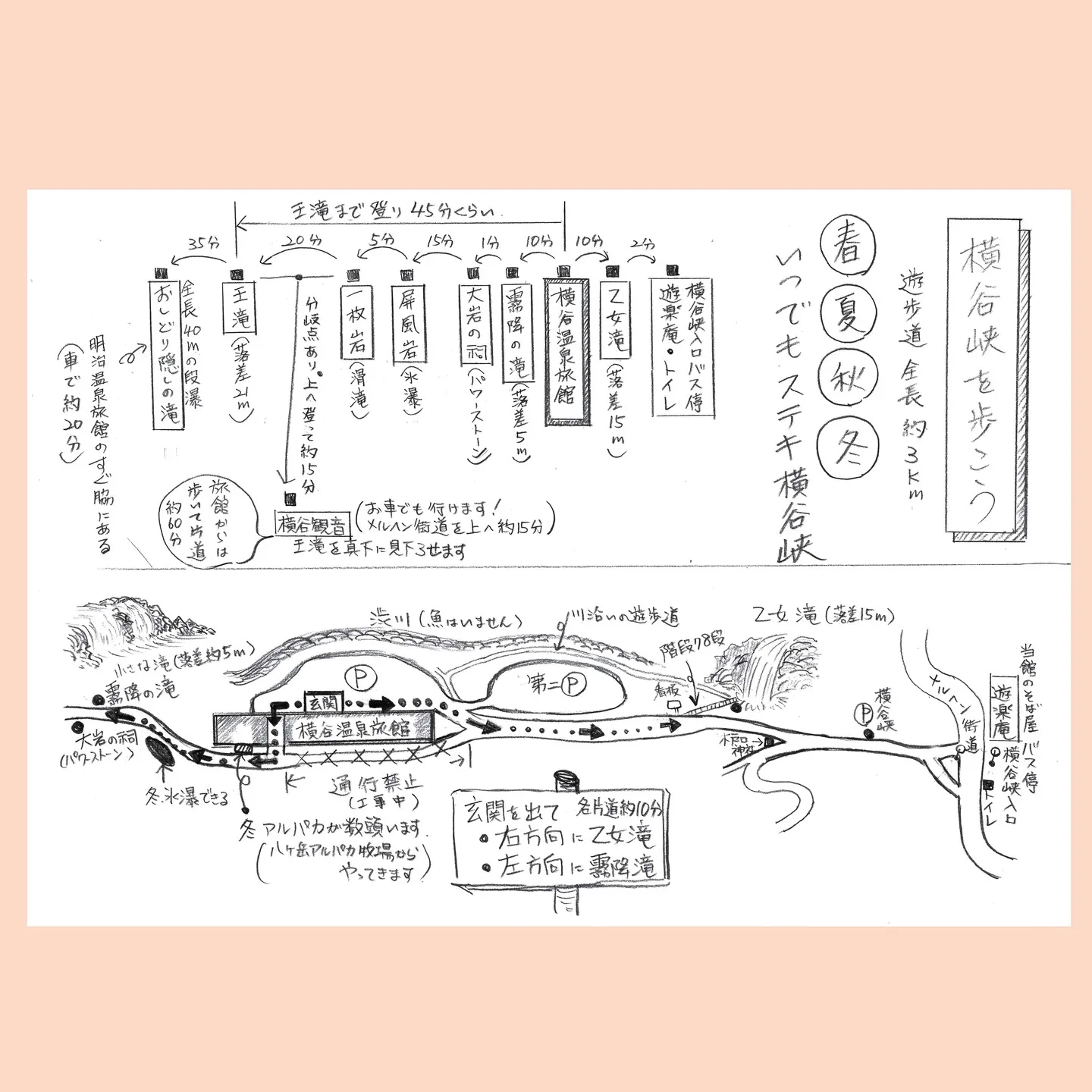 10月も中盤を迎えますが、まだまだ紅葉の気配はありません。