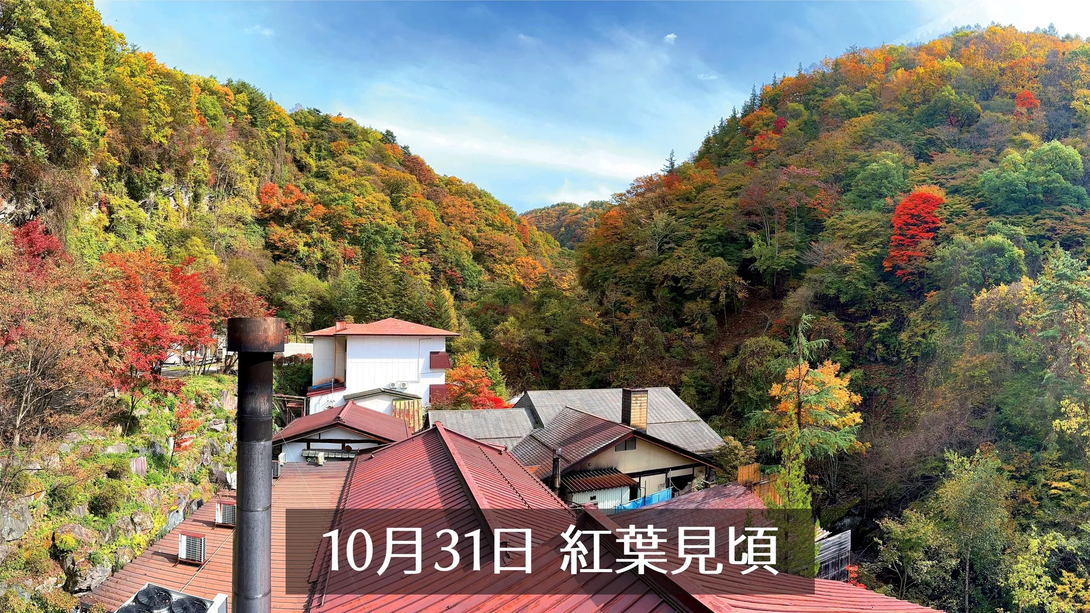 月31日、横谷渓谷の紅葉は見頃を迎えました。