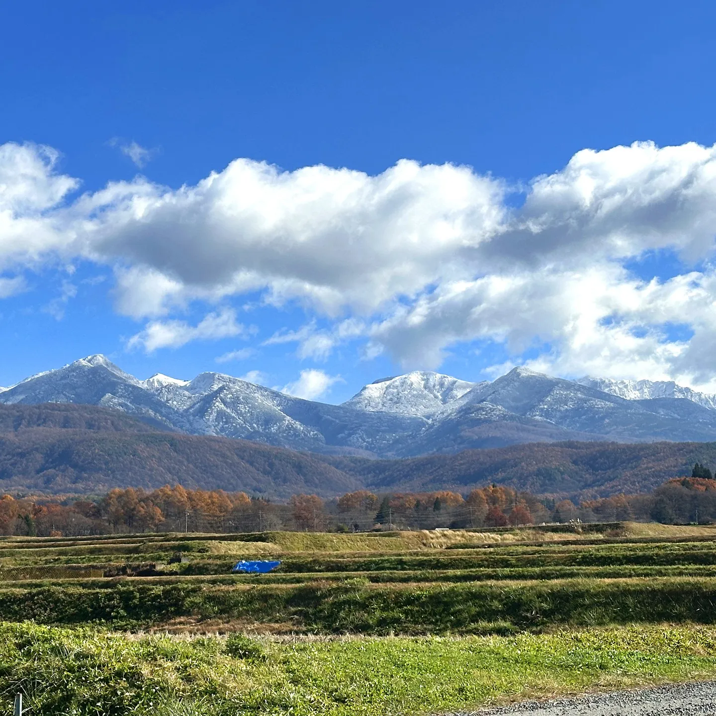 八ヶ岳もすっかり雪帽子をかぶりました。